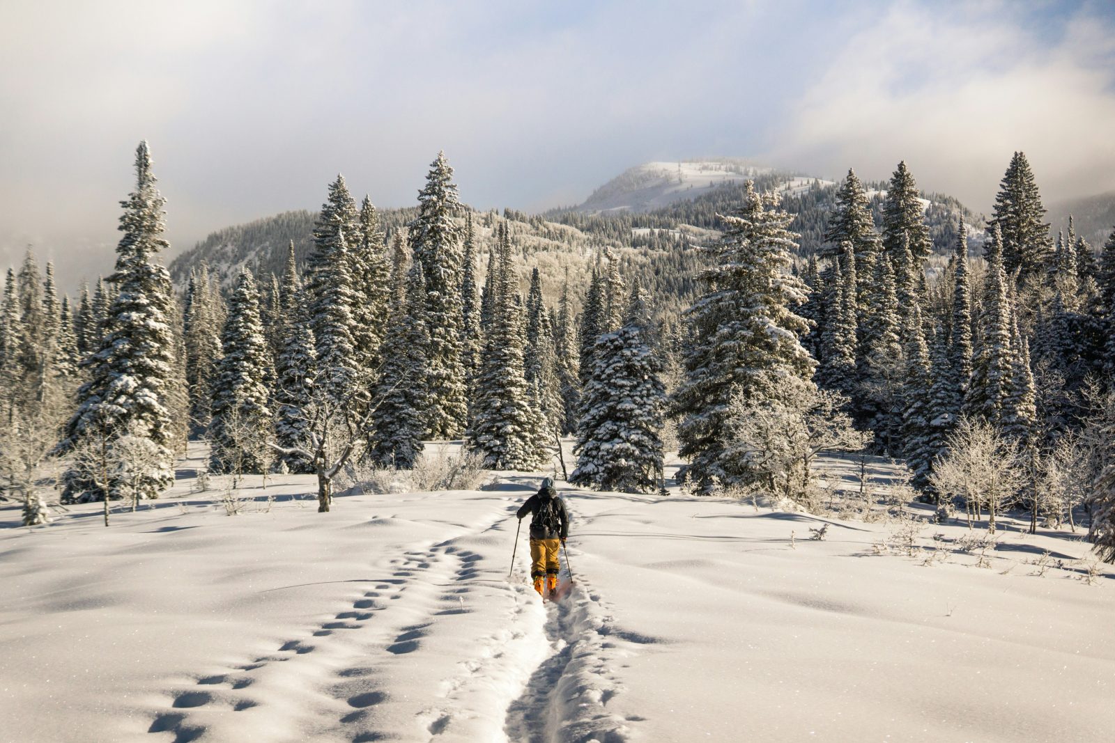A Beginner&#8217;s Guide to Ski Touring