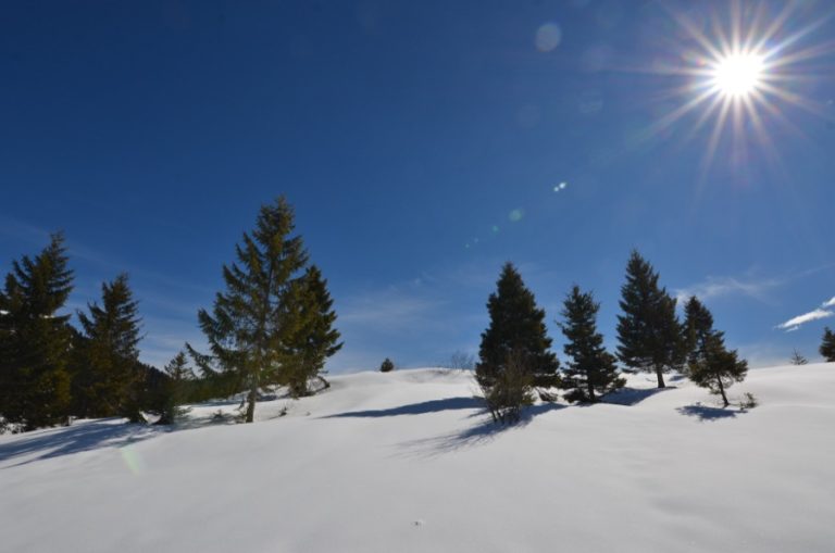 Image from the Maison Sport blog