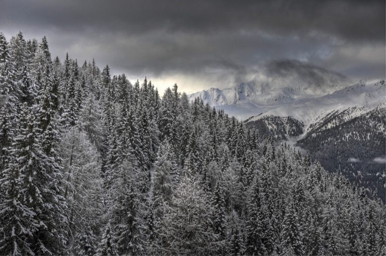 Image from the Maison Sport blog