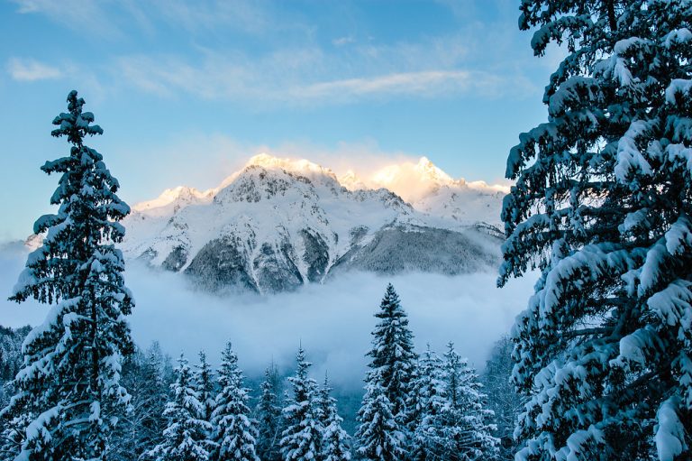 Image from the Maison Sport blog