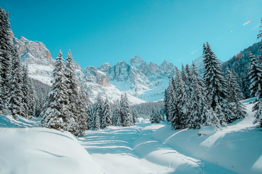 The Ultimate Guide to San Martino di Castrozza