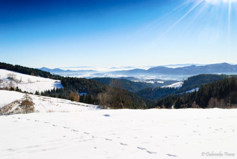 Image from the Maison Sport blog