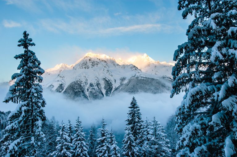 Image from the Maison Sport blog