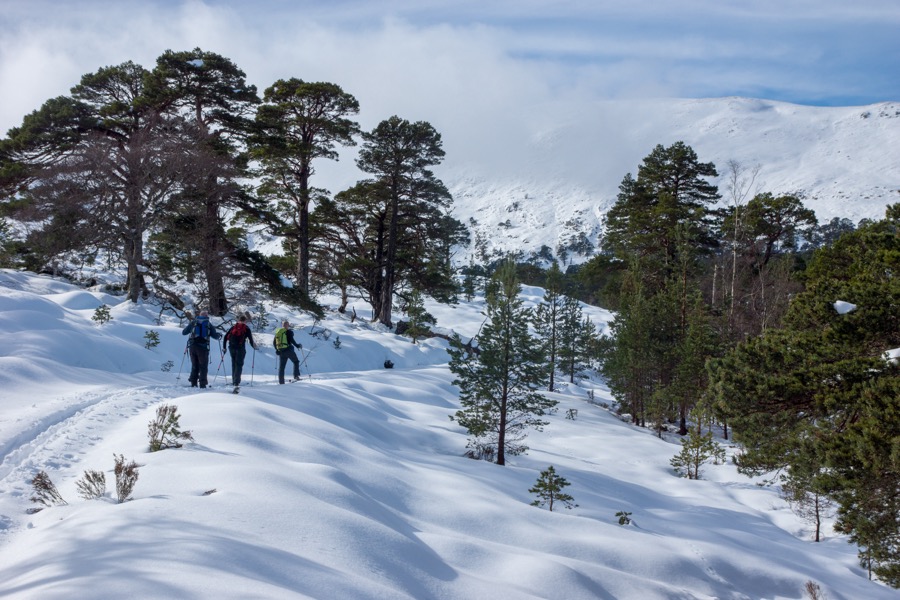 A Guide to Skiing in Cairngorm Mountain