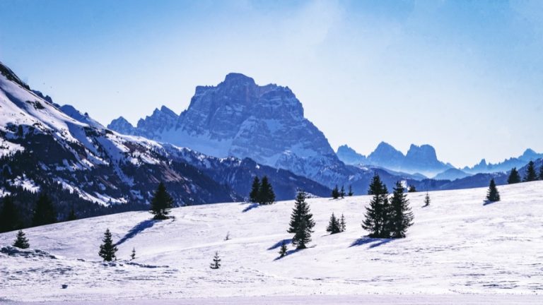 Image from the Maison Sport blog