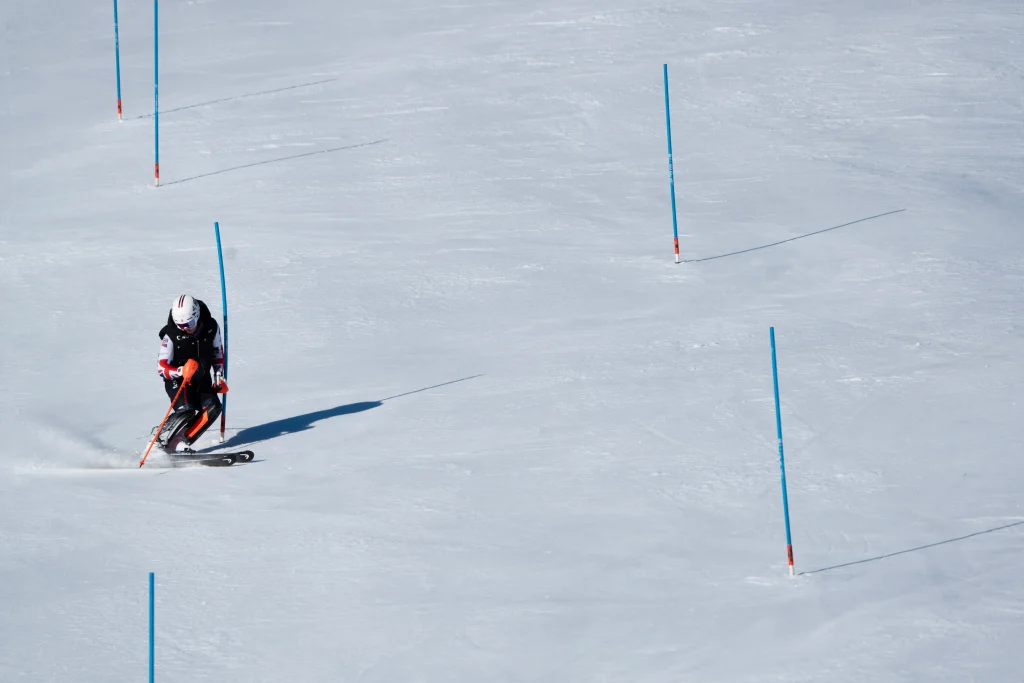 alpine skiing - slalom